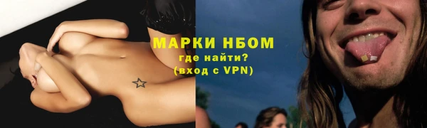 эйфоретик Аркадак