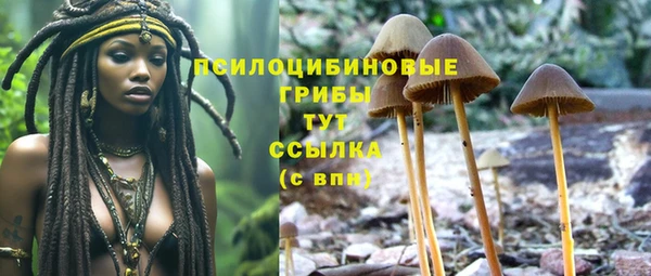 эйфоретик Аркадак