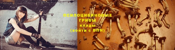 apvp Арсеньев
